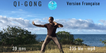 Qi Gong version Française