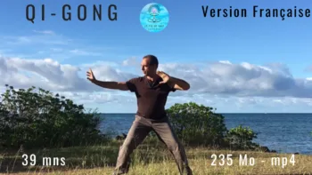 Qi Gong version Française