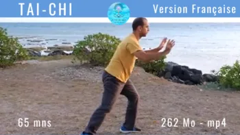 Tai Chi version Française