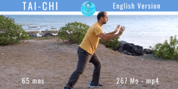 Tai Chi version Anglaise