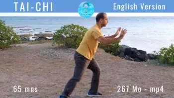 Tai Chi version Anglaise